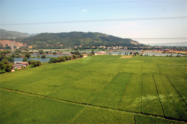 清遠(yuǎn)績(jī)效咨詢(xún)公司如何定制高效績(jī)效管理體系？