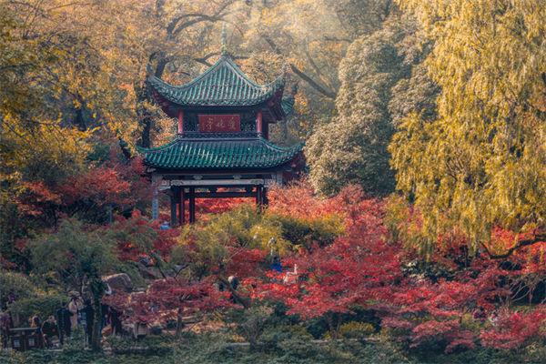 長沙薪酬咨詢公司如何設(shè)計合理的薪酬結(jié)構(gòu)與體系？