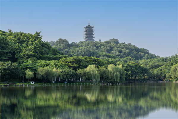 如何評(píng)估佛山集團(tuán)管控咨詢公司的服務(wù)質(zhì)量和效果？