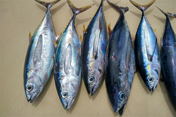 商務(wù)部：將幫助外貿(mào)企業(yè)擴寬內(nèi)銷渠道，政策解讀！