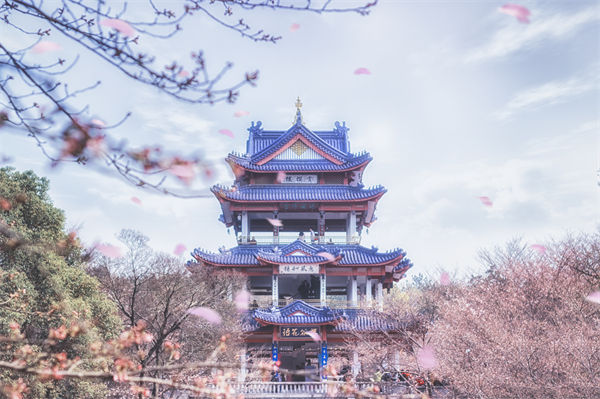 供應(yīng)鏈成本居高不下，無錫供應(yīng)鏈咨詢公司如何精準(zhǔn)砍出利潤(rùn)空間？