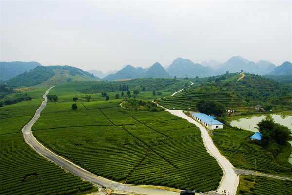 清遠(yuǎn)營(yíng)銷(xiāo)咨詢(xún)公司深挖需求，如何為品牌打造直擊消費(fèi)痛點(diǎn)的賣(mài)點(diǎn)？