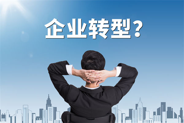企業(yè)轉(zhuǎn)型無方向，數(shù)智化咨詢公司能否指引明路？
