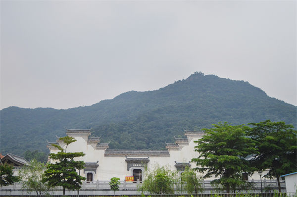 子公司各自為戰(zhàn)內(nèi)耗大，佛山集團(tuán)管控咨詢公司有何整合之道？